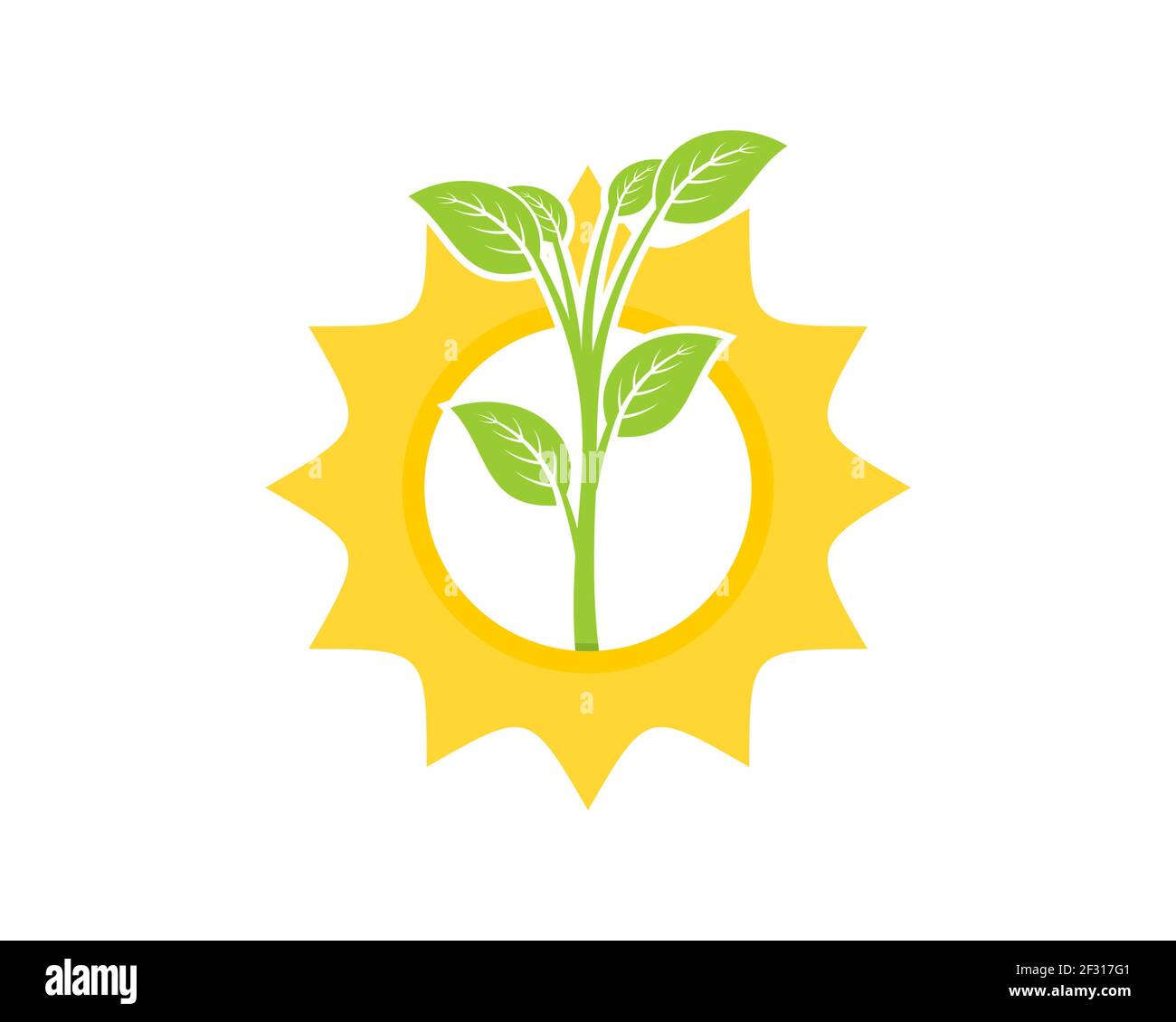 Plantando árbol en el logo del amanecer Foto de stock