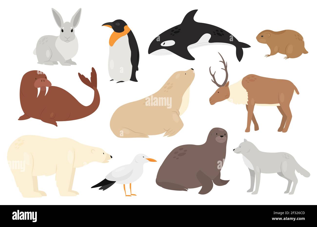 Animales polares. Mamíferos antárticos, océano de vida silvestre aislada.  Gracioso oso oso blanco ártico, ave marina, lindos pingüinos y ciervos.  Caracteres vectoriales de color garza Imagen Vector de stock - Alamy