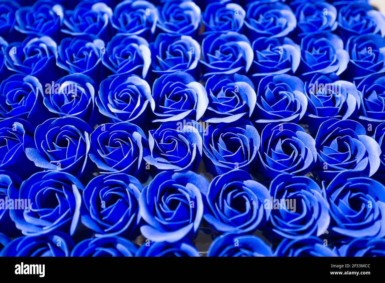 Rosas azules Foto de stock