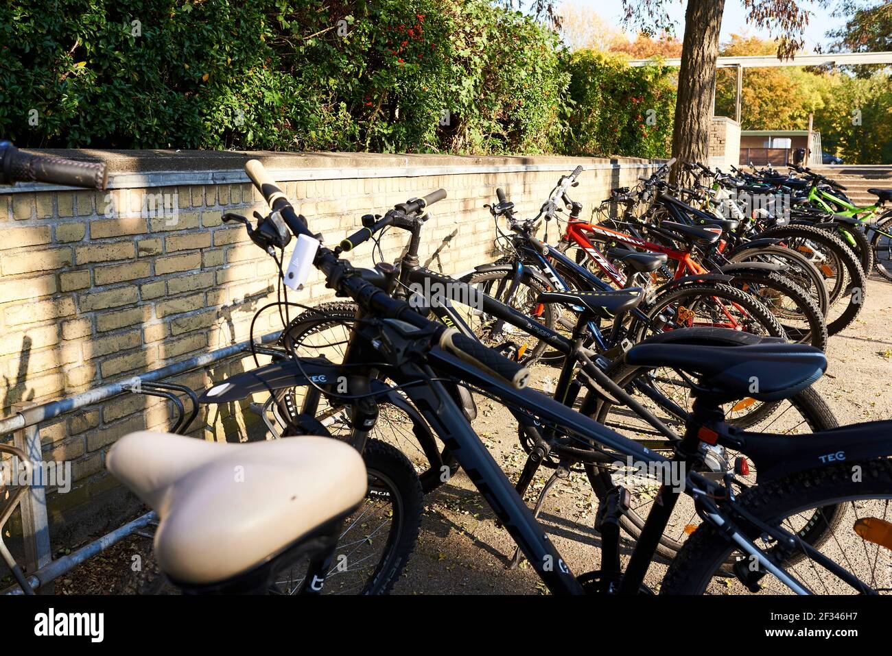 Estacionamiento Para Bicicletas Con Soporte Para Bicicletas Para Niños De  Escuela Fotografía De Stock Alamy | cvetexpress.rs