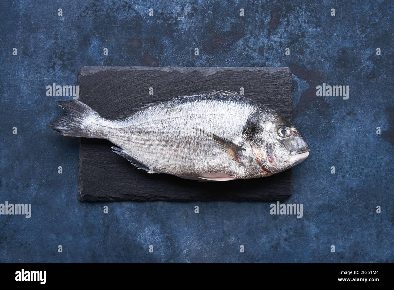 Pescado dorado crudo sobre pizarra sobre fondo azul oscuro. Concepto de mariscos mediterráneos. Vista superior, espacio de copia para texto Foto de stock