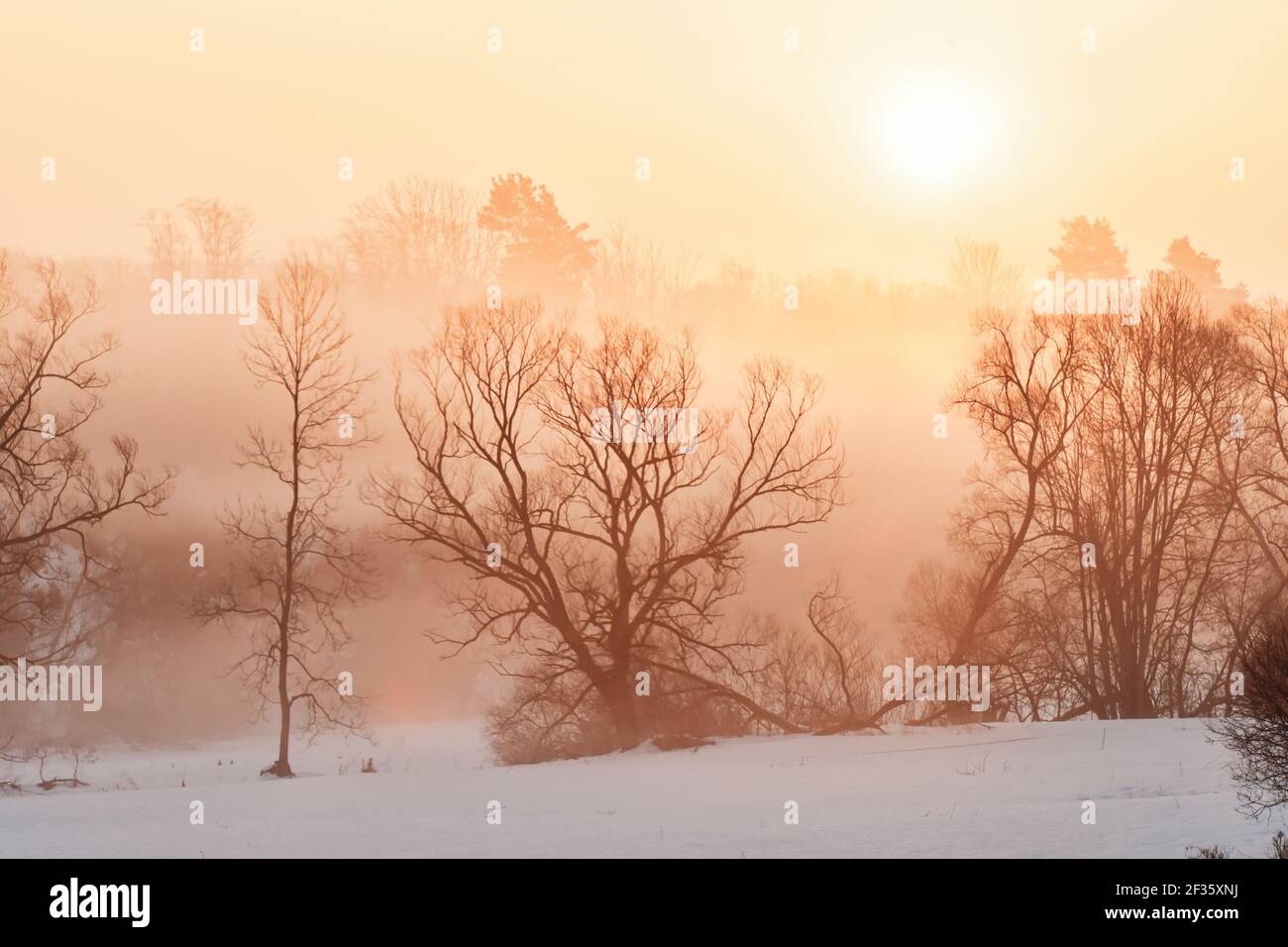 Primera luz del sol en una mañana fría de invierno con paisaje de césped congelado y brillante resplandor niebla. Misty mañana de invierno con naranja amanecer campo Foto de stock