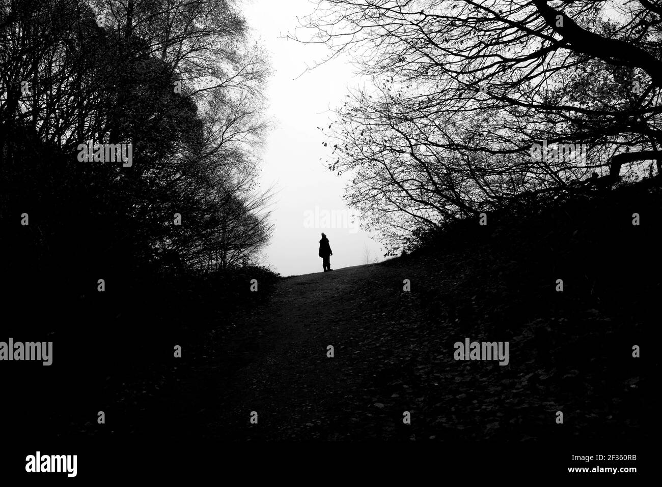 silueta de figura solitaria en el camino del bosque en el horizonte punto Foto de stock