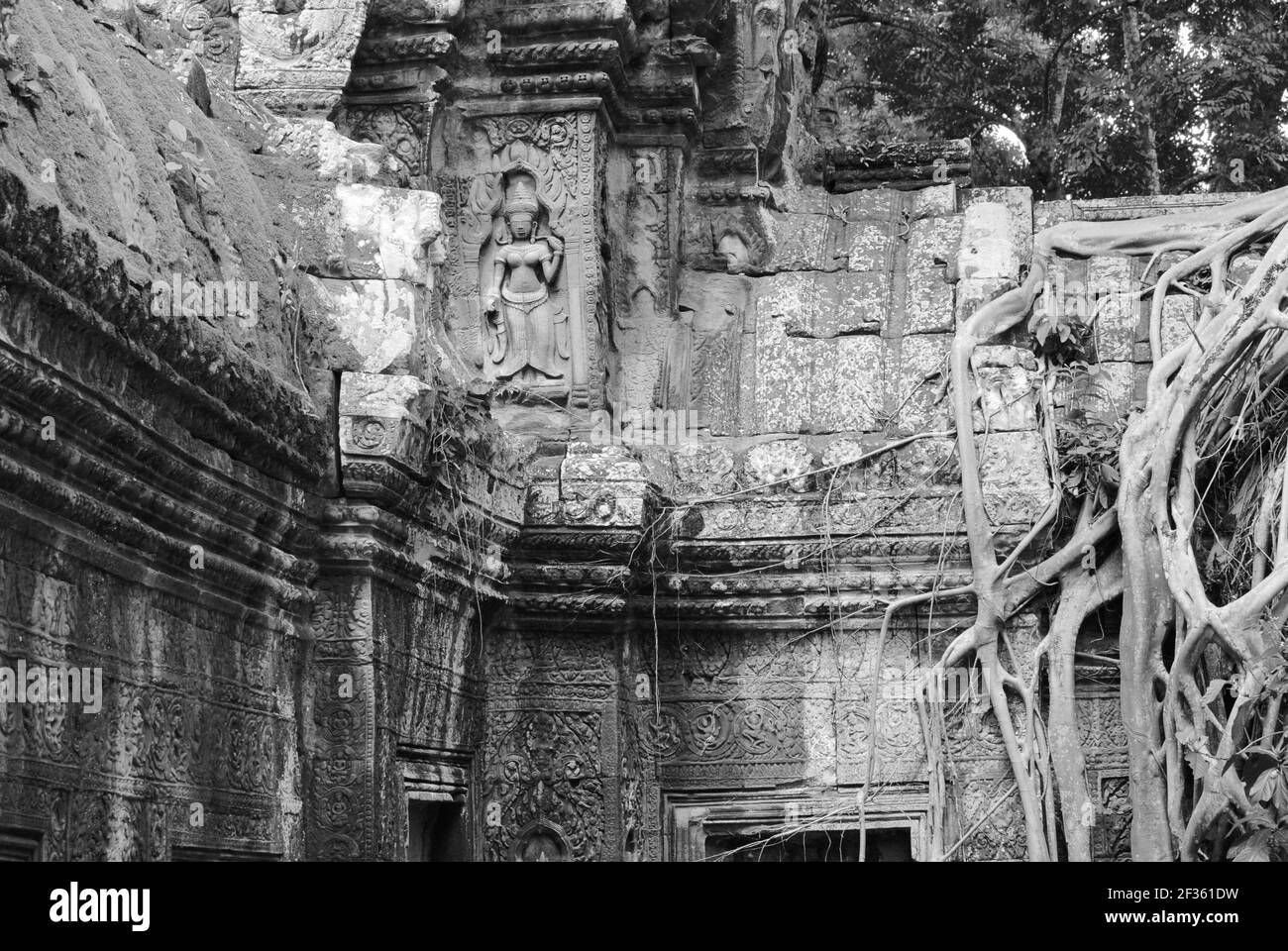 Angkor Wat Templo raíz Foto de stock