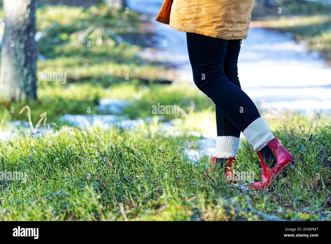 Concepto de otoño o primavera con bosque colorido y botas de lluvia fuera.  Primer plano de los pies de la mujer caminando con botas rojas Fotografía  de stock - Alamy