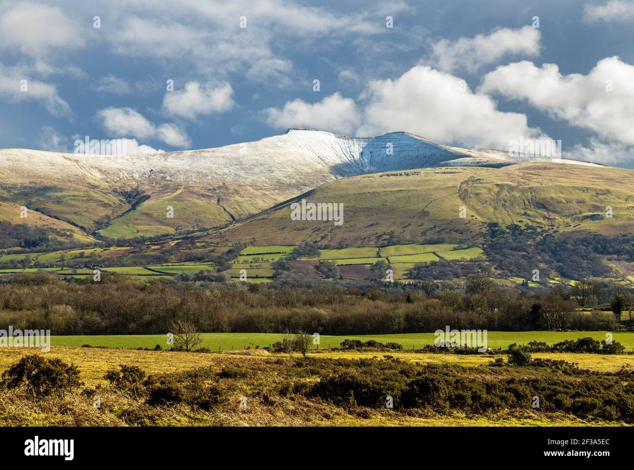 Pen y Fan bajo la nieve de marzo vista desde Mynydd Illtyd Común en el Parque Nacional Brecon Beacons Foto de stock