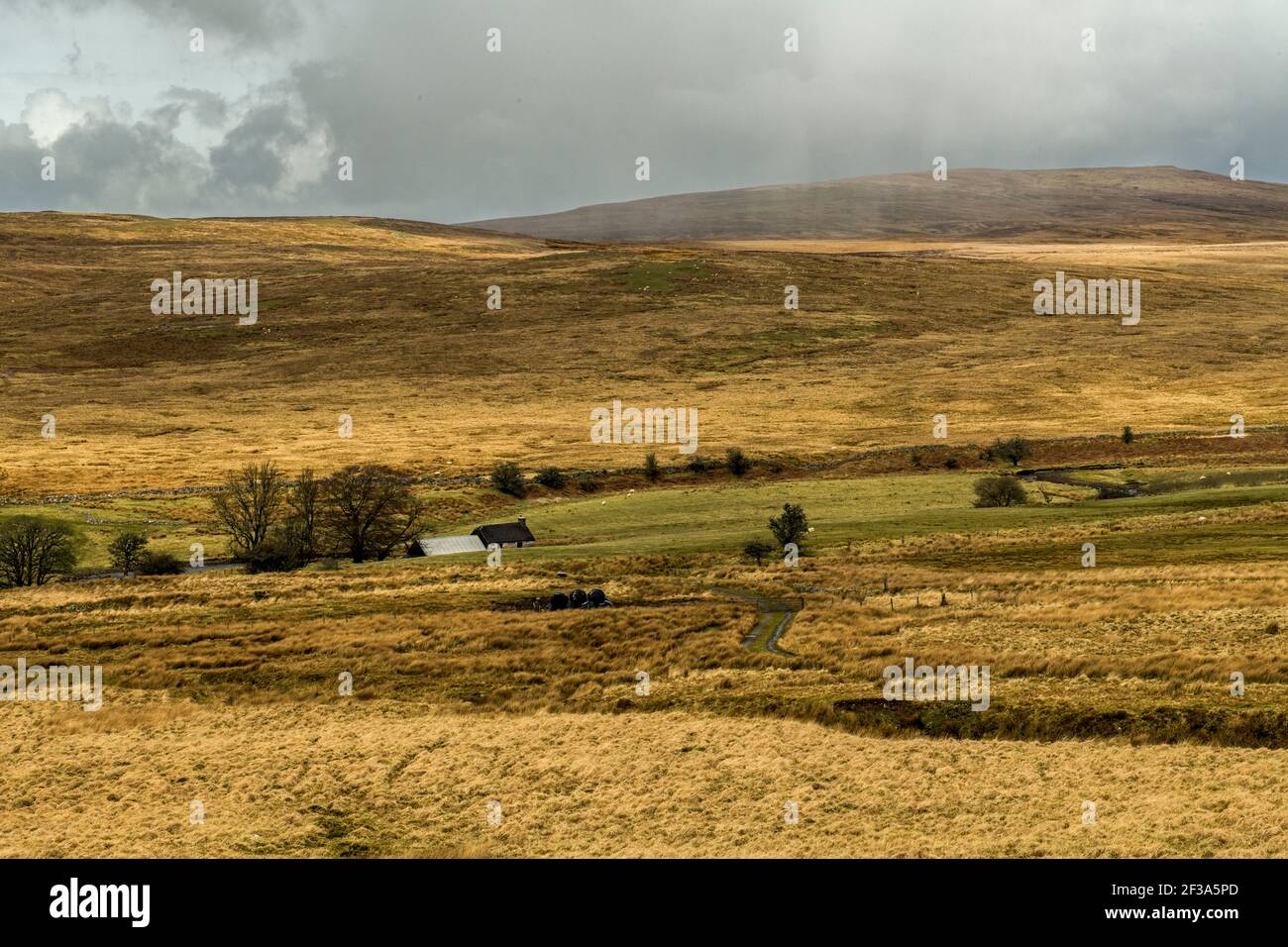 Barren Baecon paisaje por el A4059 en el Brecon Beacons Parque Nacional de Gales del Sur Foto de stock
