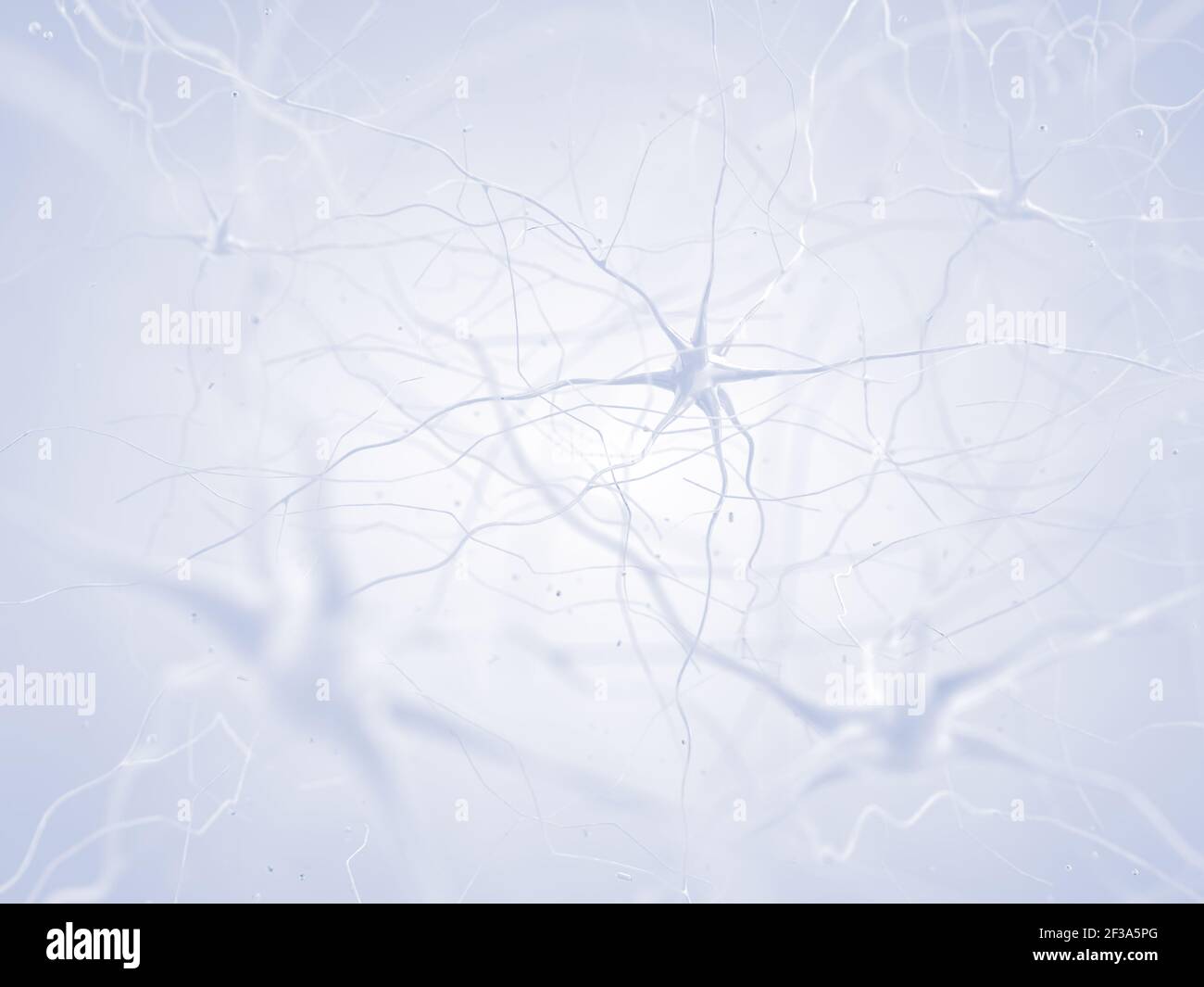 Células nerviosas del cerebro humano. Neuronas conectadas en la red neural. Foto de stock