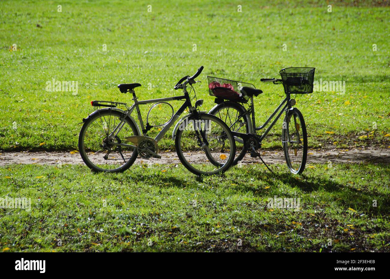 Bicicletas. Bicicletas independientes en el parque inglés de Munich. Los  turistas abandonaron su transporte y se fueron a dar un paseo Fotografía de  stock - Alamy