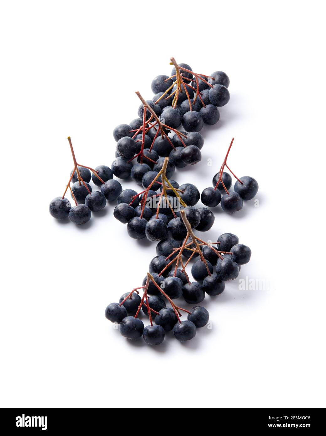Berries de Aronia fresca sobre fondo blanco Foto de stock