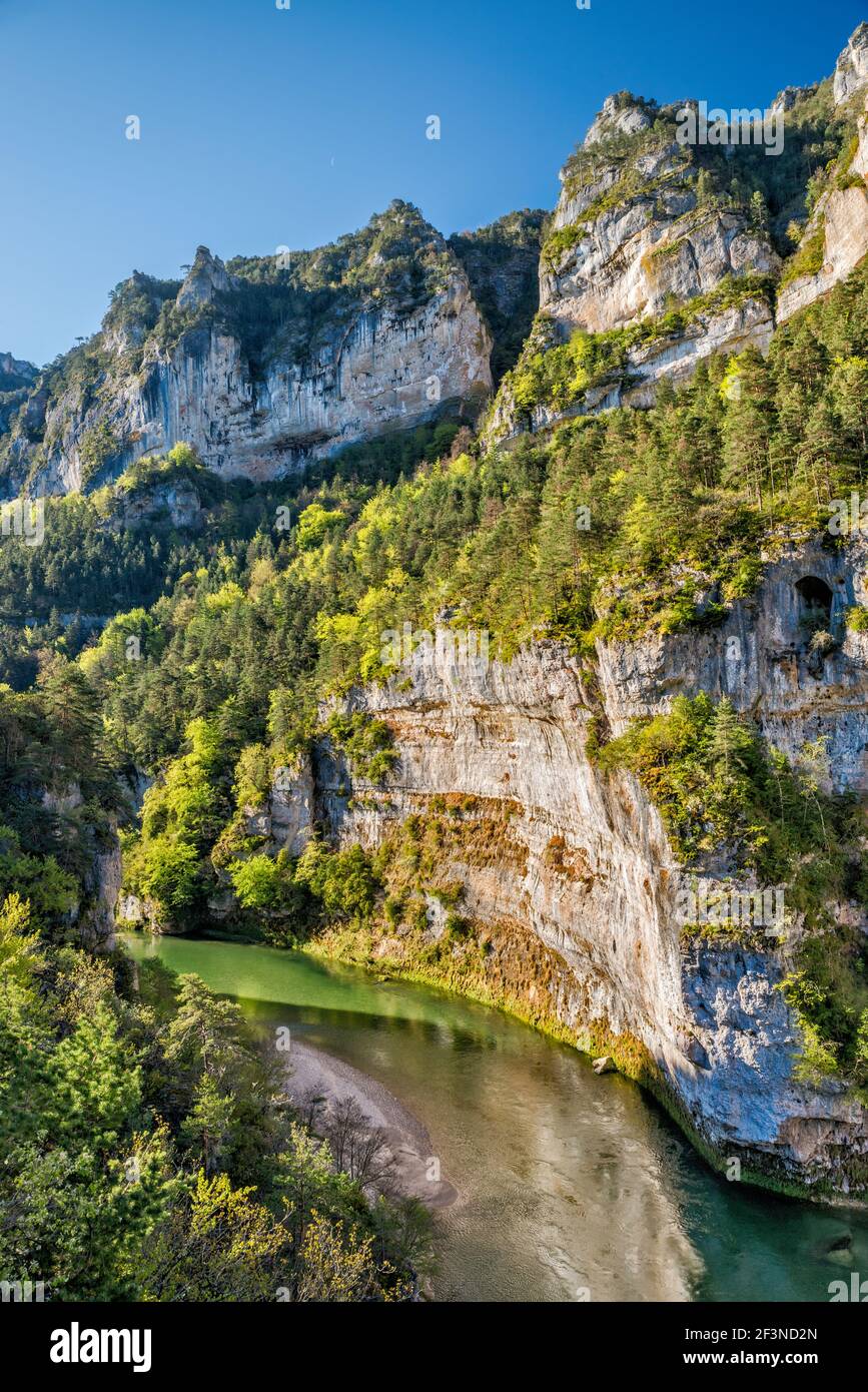 Les Detroits acantilados, río Tarn, Gorges du Tarn, cerca del pueblo de la Malene, comuna en el departamento de Lozere, región de Occitanie, Francia Foto de stock