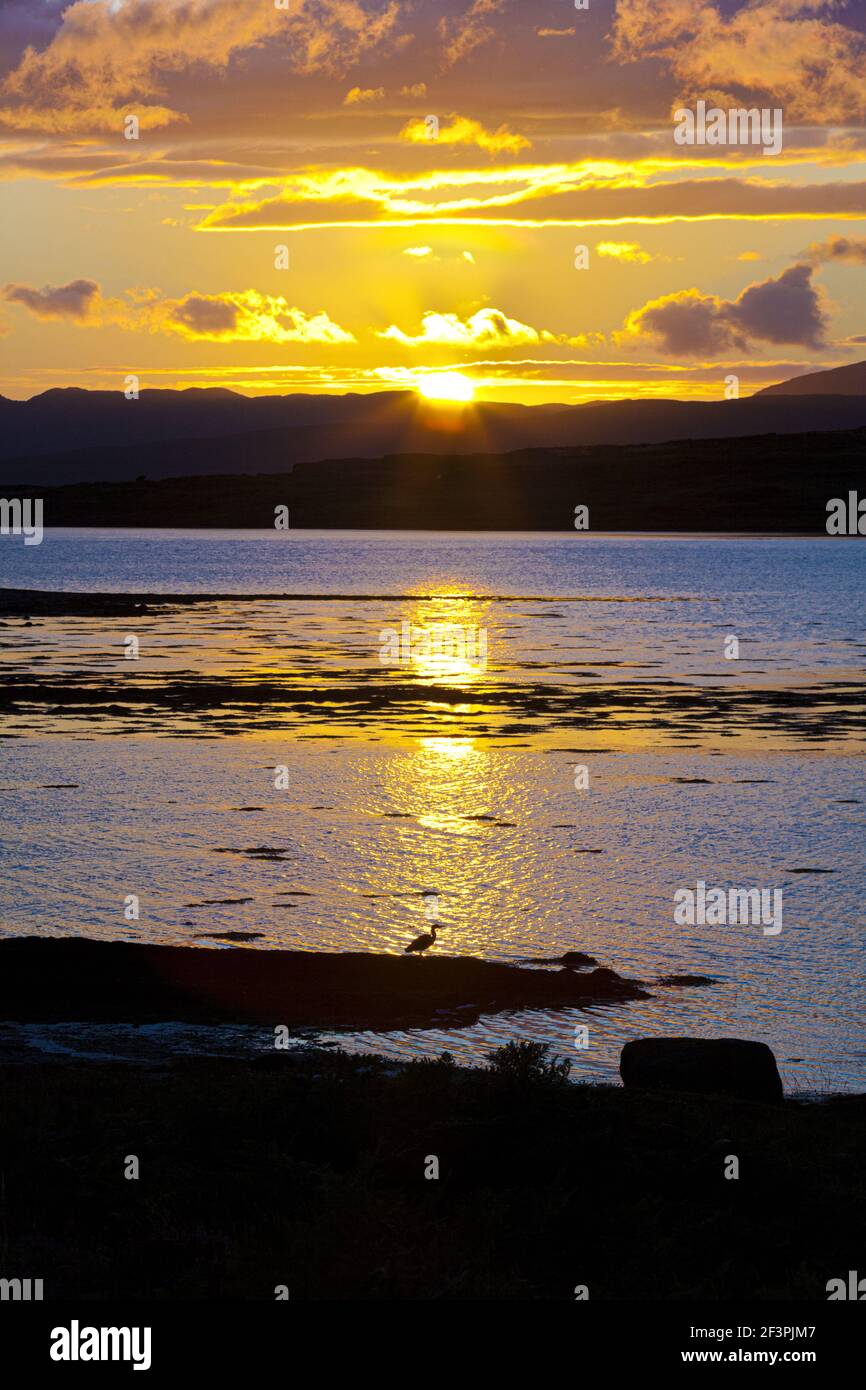 Una puesta de sol (con garza) a través del lago na Cille a la península de Keillmore vista desde Danna, Knapdale, Argyll & Bute, Escocia, Reino Unido Foto de stock