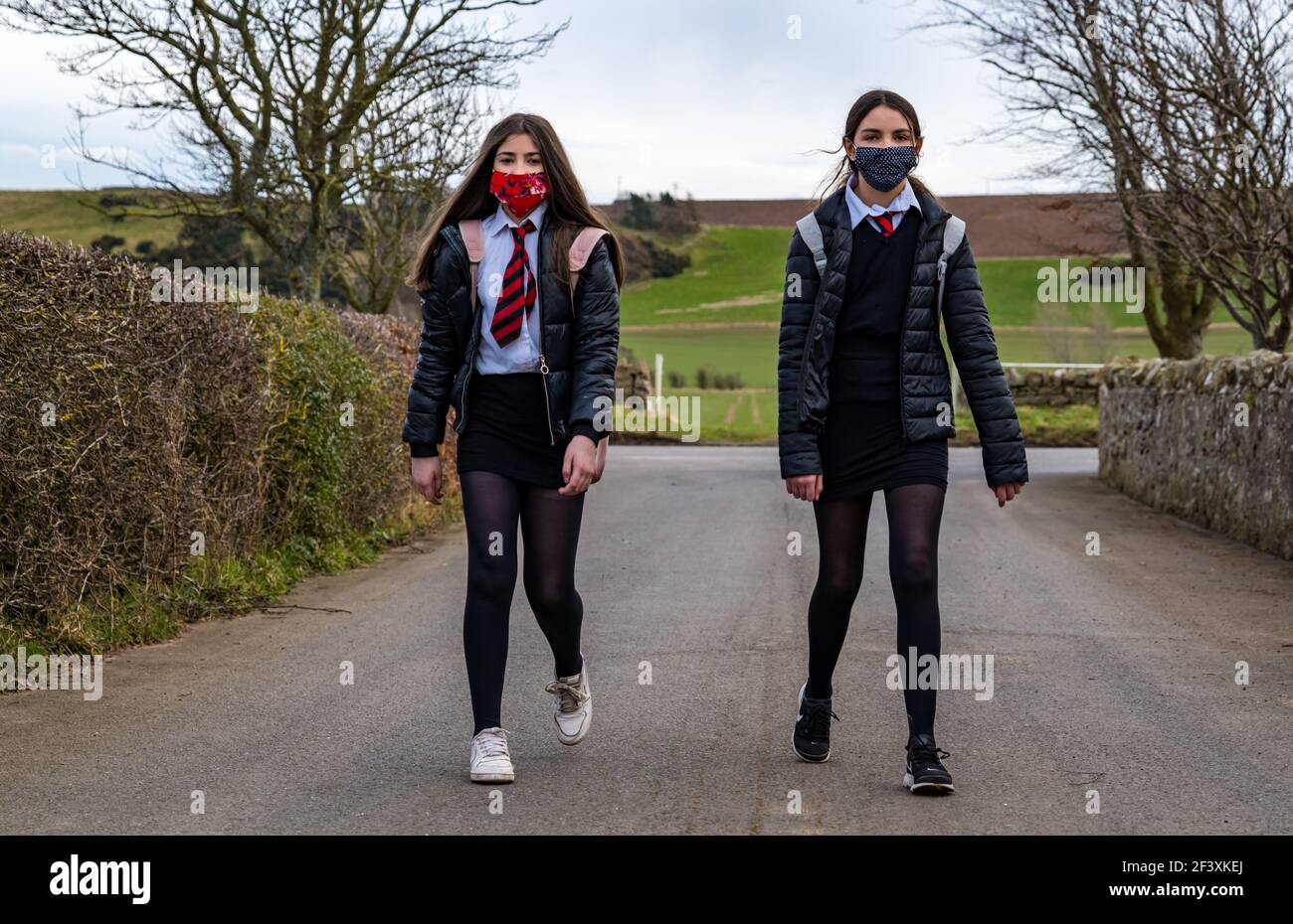 Niñas gemelas, escolares de secundaria en uniforme escolar caminando por la carretera rural, East Lothian, Escocia, Reino Unido Foto de stock