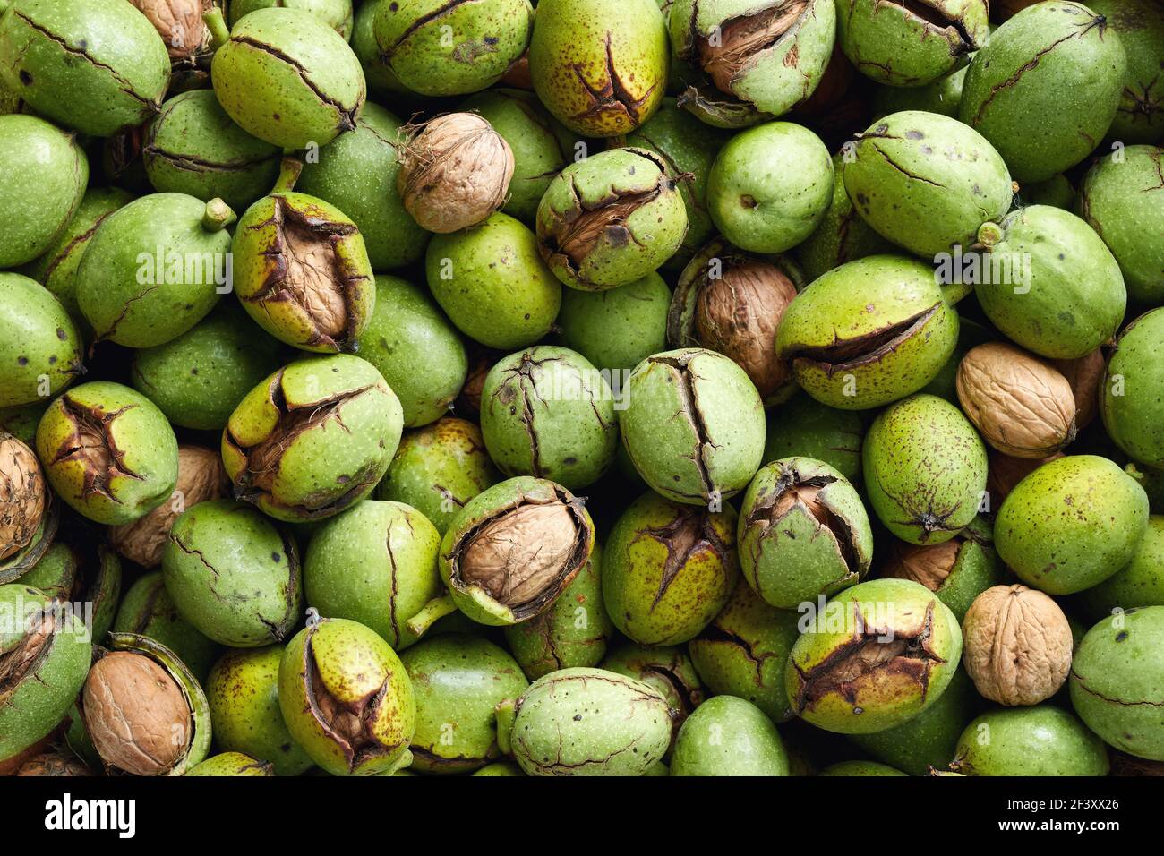Cosecha fresca de nueces orgánicas en una cáscara verde. Foto de stock