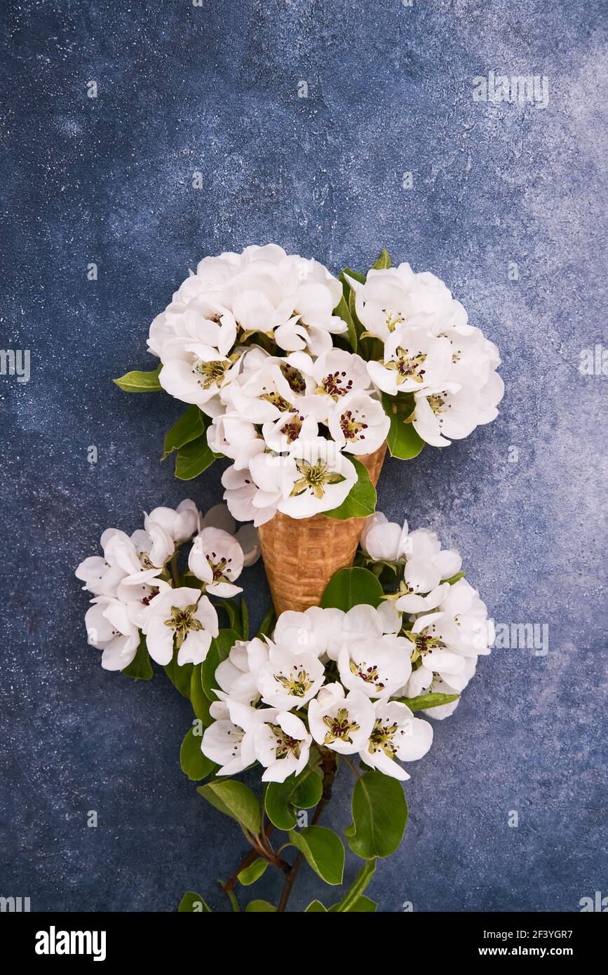 Cono de helado de waffle con flores de pera sobre fondo azul. Concepto de primavera. Copiar espacio para texto, vista superior Foto de stock