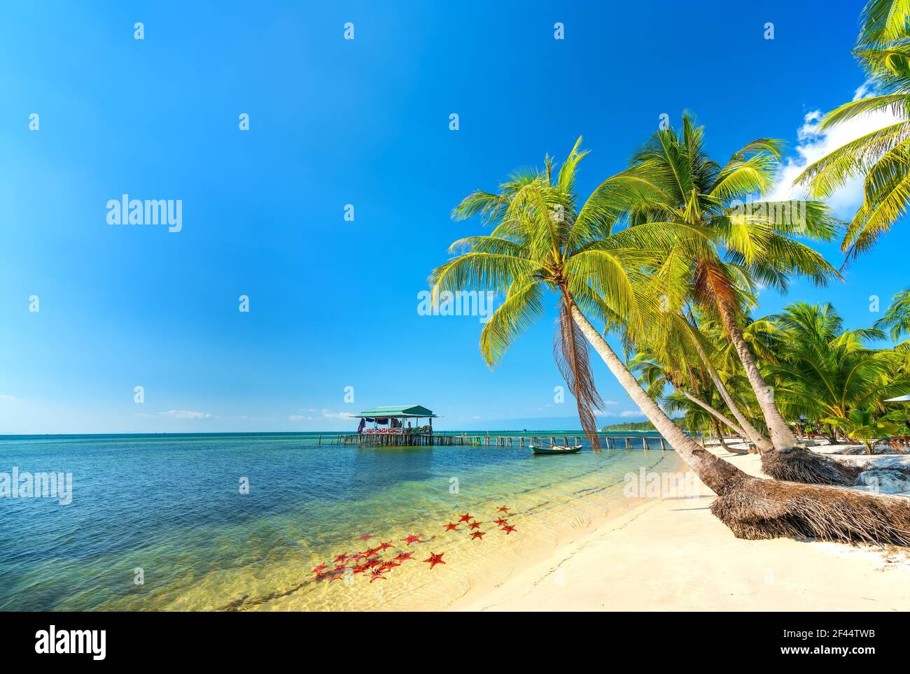 Paisaje marino con palmeras tropicales en una hermosa playa de arena en la isla Phu Quoc, Vietnam. Esta es una de las mejores playas de Vietnam. Foto de stock