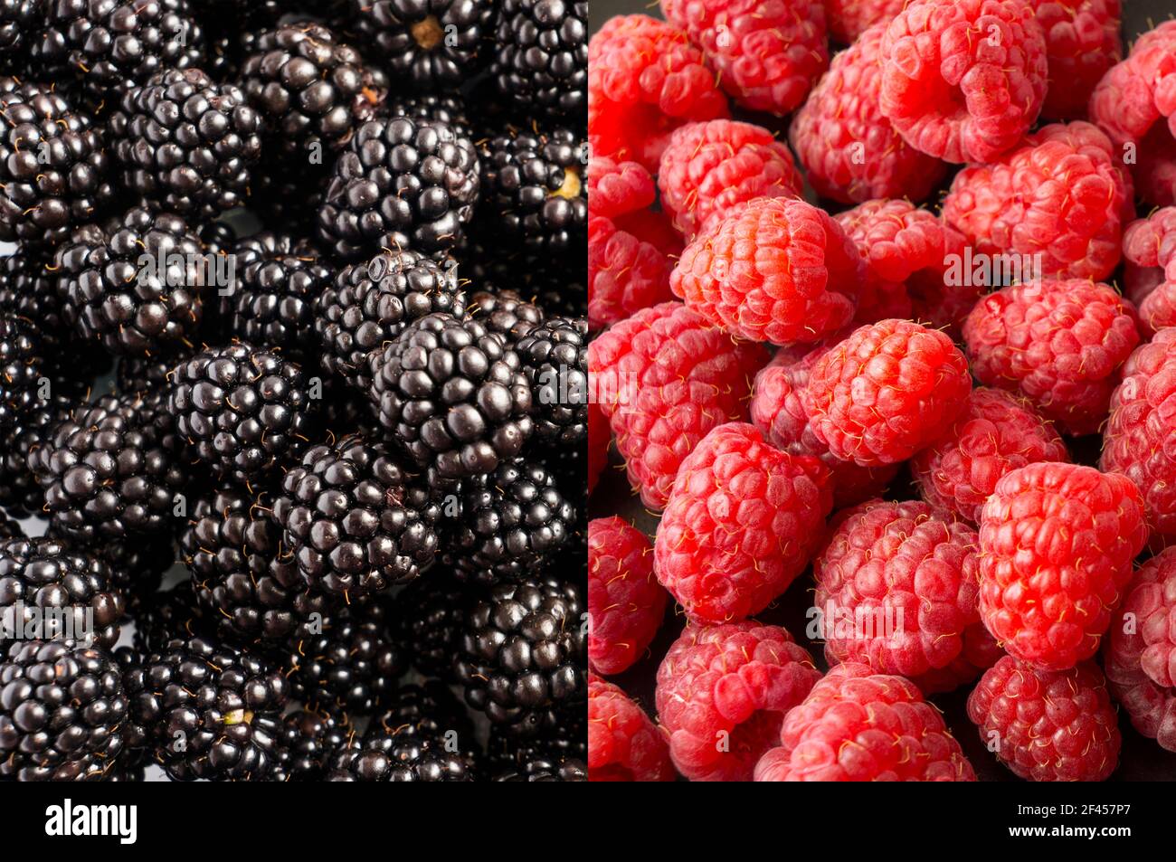 Antecedentes de blackberry y frambuesa. Bayas frescas primer plano. Vista superior. Fondo de bayas frescas de color rojo y negro. Mejora del sistema de inmunidad. Foto de stock