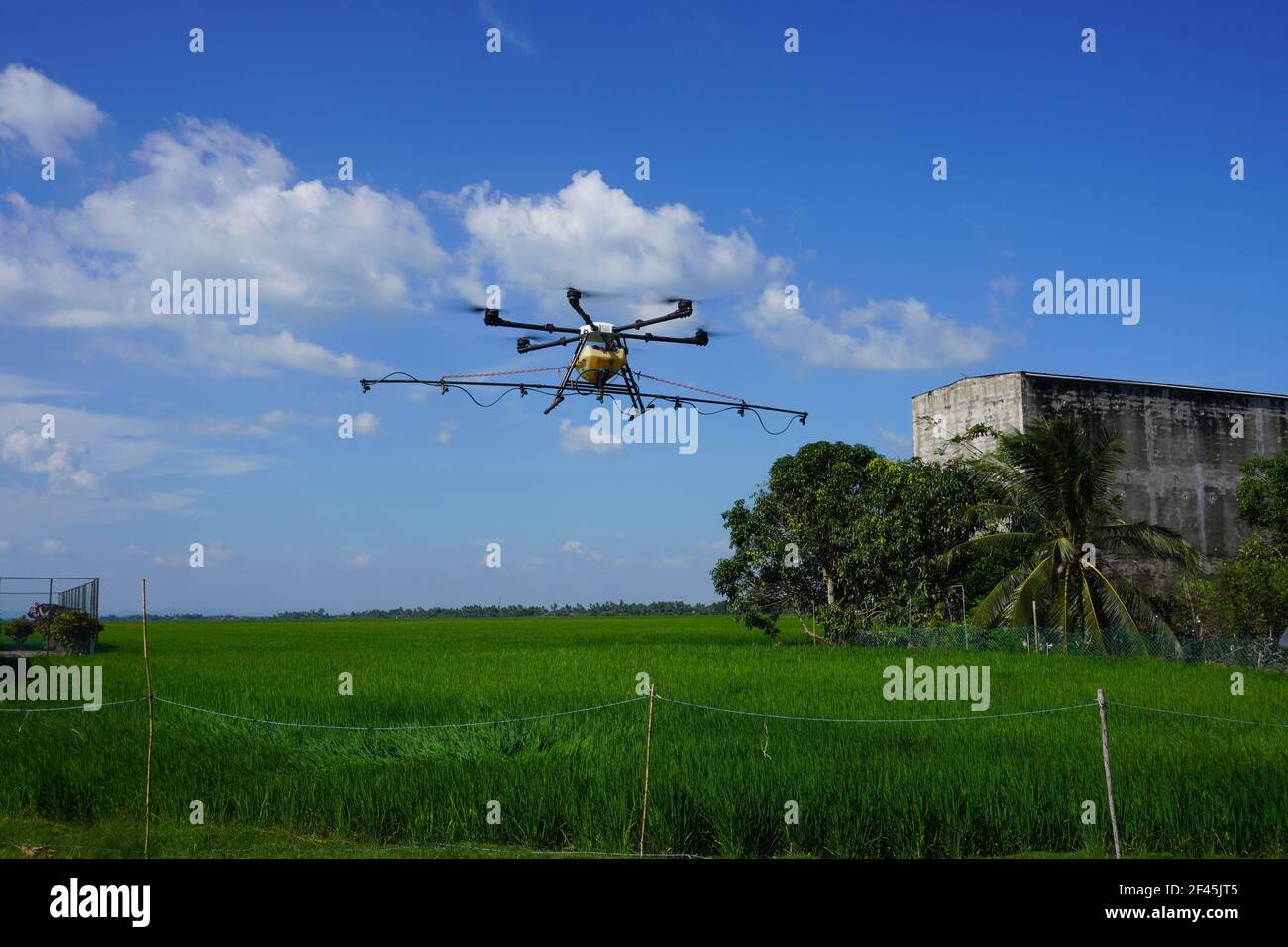 Agricultura Los aviones no tripulados vuelan para rociar fertilizante en los arrozales de Alor Setar, Kedah. Foto de stock