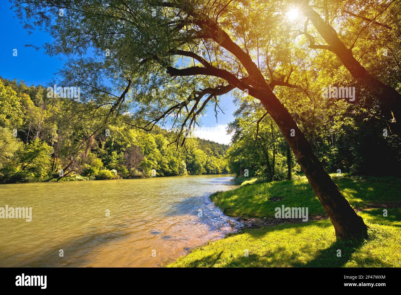 Paisaje verde del río Kupa cerca de Severin en la región de Gorski Kotar de Croacia, frontera con Croacia y Eslovenia Foto de stock