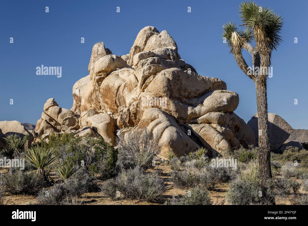 Afloramiento rocoso (granito) y vegetación desértica, Hall of Horrors