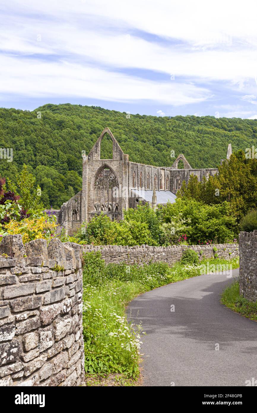 Tintern Abbey en el Valle Wye, Monmouthshire, Gales, Reino Unido Foto de stock