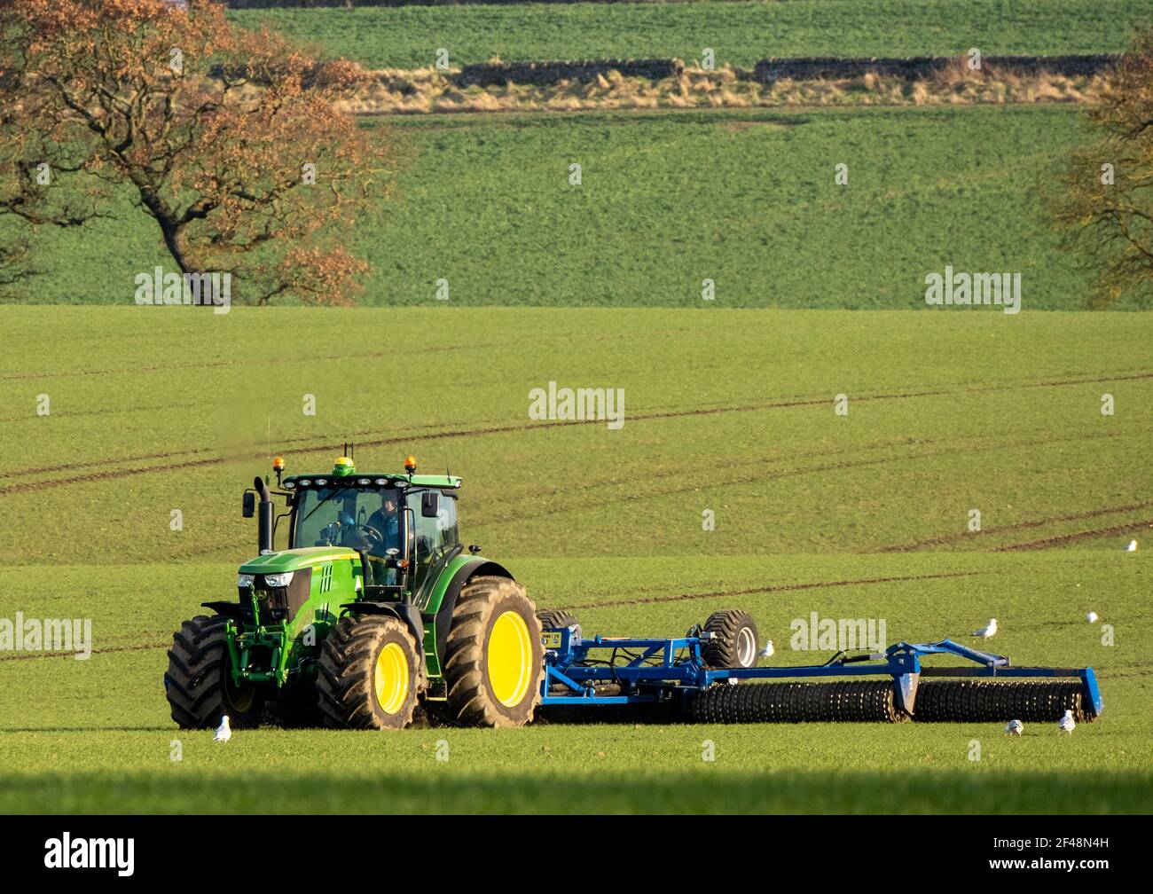 Un tractor John Deere tira de una máquina de preparación de cultivos a través de un campo cultivado, West Lothian, Escocia. Foto de stock