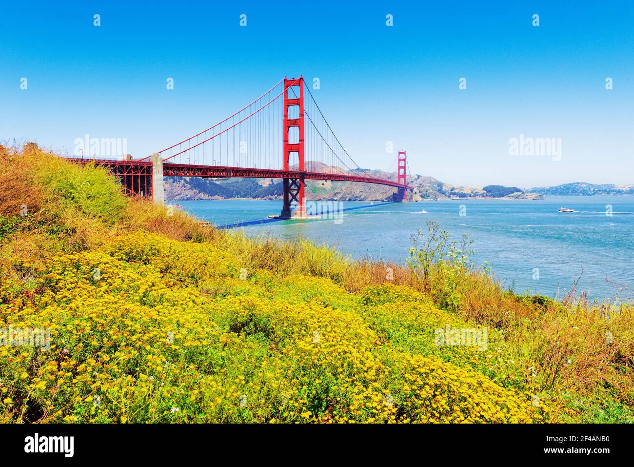 Golden gate bridge flowers fotografías e imágenes de alta resolución