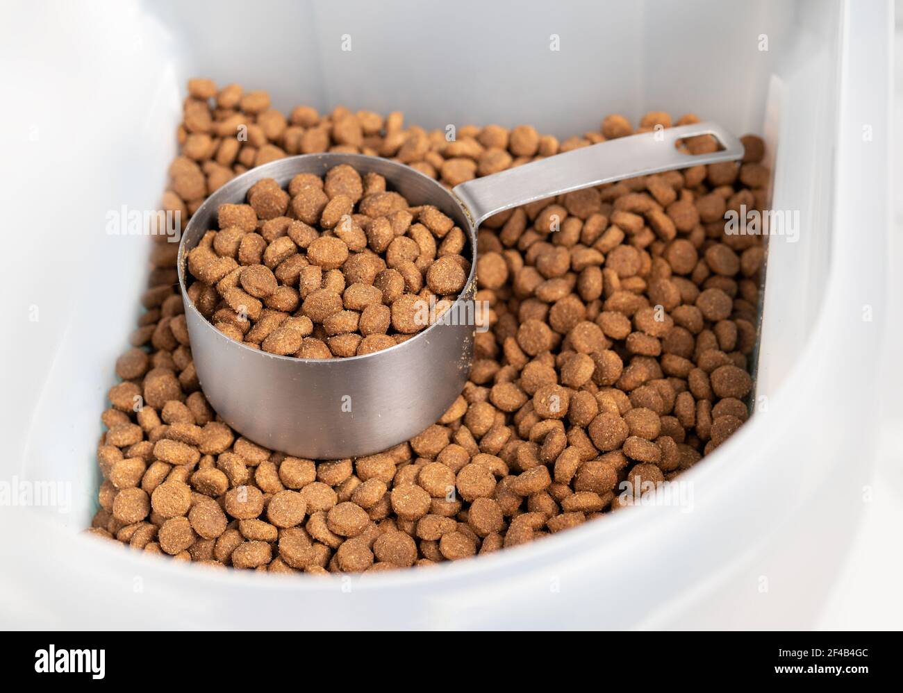 Aperitivos con vaso medidor dentro de un cubo de almacenamiento de alimentos más grande. 1 taza de comida seca para mascotas o perros portioned hacia fuera para un tiempo de alimentación de perros mediano a grande. Aislar Foto de stock