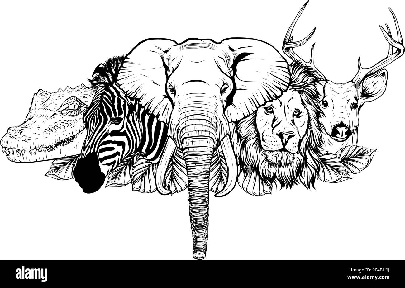 Dibuja en blanco y negro de Cartoon animales salvajes africanos sobre fondo blanco Ilustración del Vector