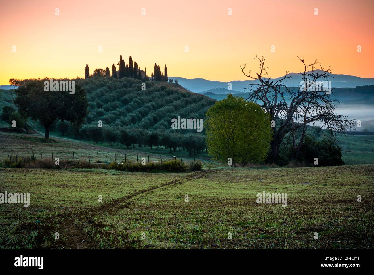 Casa de campo Belvedere. Valle de Orcia, distrito de Siena, Toscana, Italia, Europa. Foto de stock