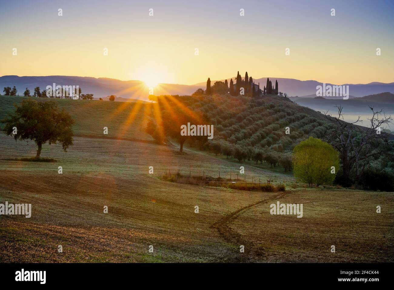 Casa de campo Belvedere. Valle de Orcia, distrito de Siena, Toscana, Italia, Europa. Foto de stock