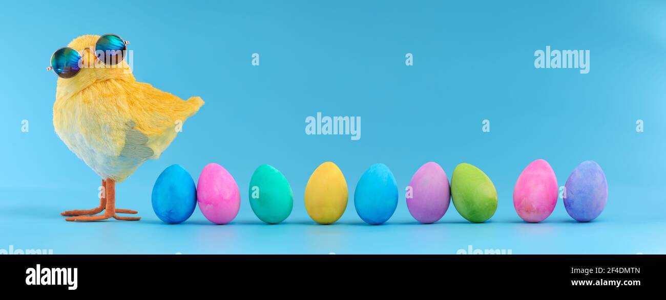 Decoración de Pascua de un pollito amarillo con gafas de sol tontas con una fila de coloridos huevos de Pascua pintados. Foto de stock
