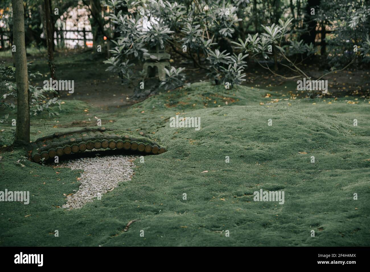 Jardín japonés con película de lago estilo vintage Foto de stock