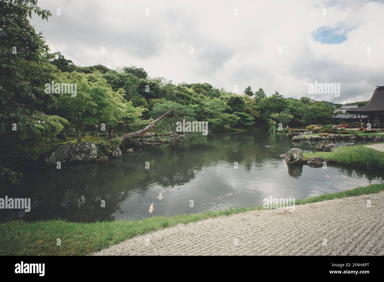 Jardín japonés de piedra zen y lago con hojas de arce verde estilo vintage de película Foto de stock