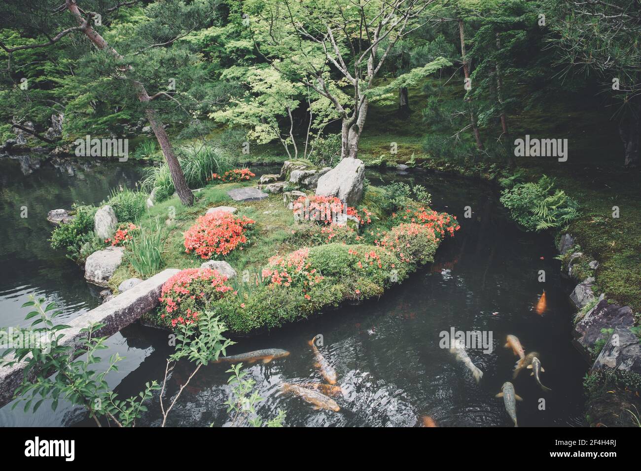 Jardín japonés de piedra zen y peces koi del lago con verde maple hojas de película estilo vintage Foto de stock