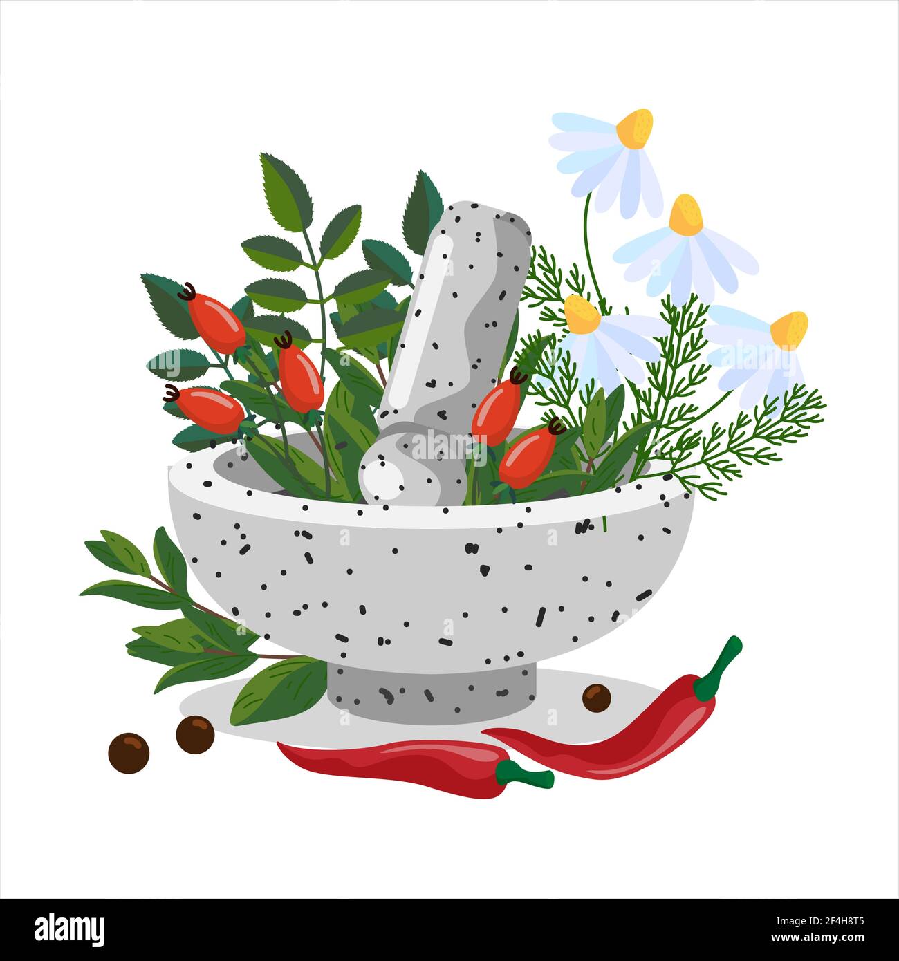 Herbals en un tazón de mortero de piedra. Mortero de hierbas y mortero. Plantas medicinales - manzanilla, rosehip, pimienta. Concepto de medicina popular. La ilustración vectorial es Ilustración del Vector