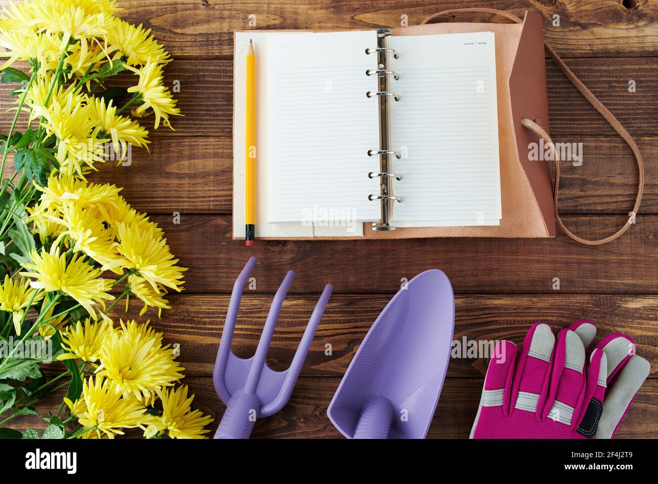 primavera plana con libreta, herramientas de jardinería, guantes y crisantemos sobre mesa de madera. Foto de stock