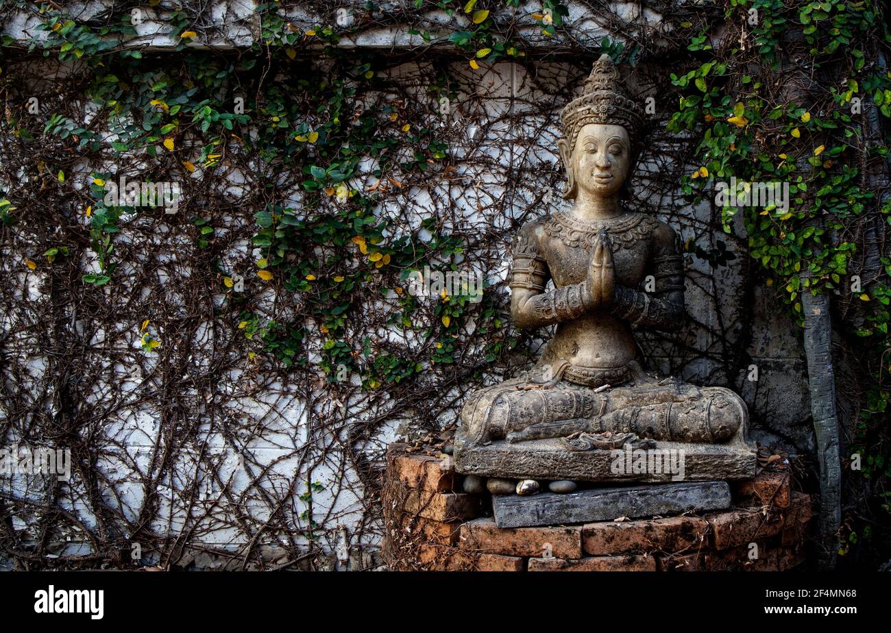 Budismo para estatuas o modelos del retrato de Buda con enfoque suave y  sobre la luz en el fondo Fotografía de stock - Alamy