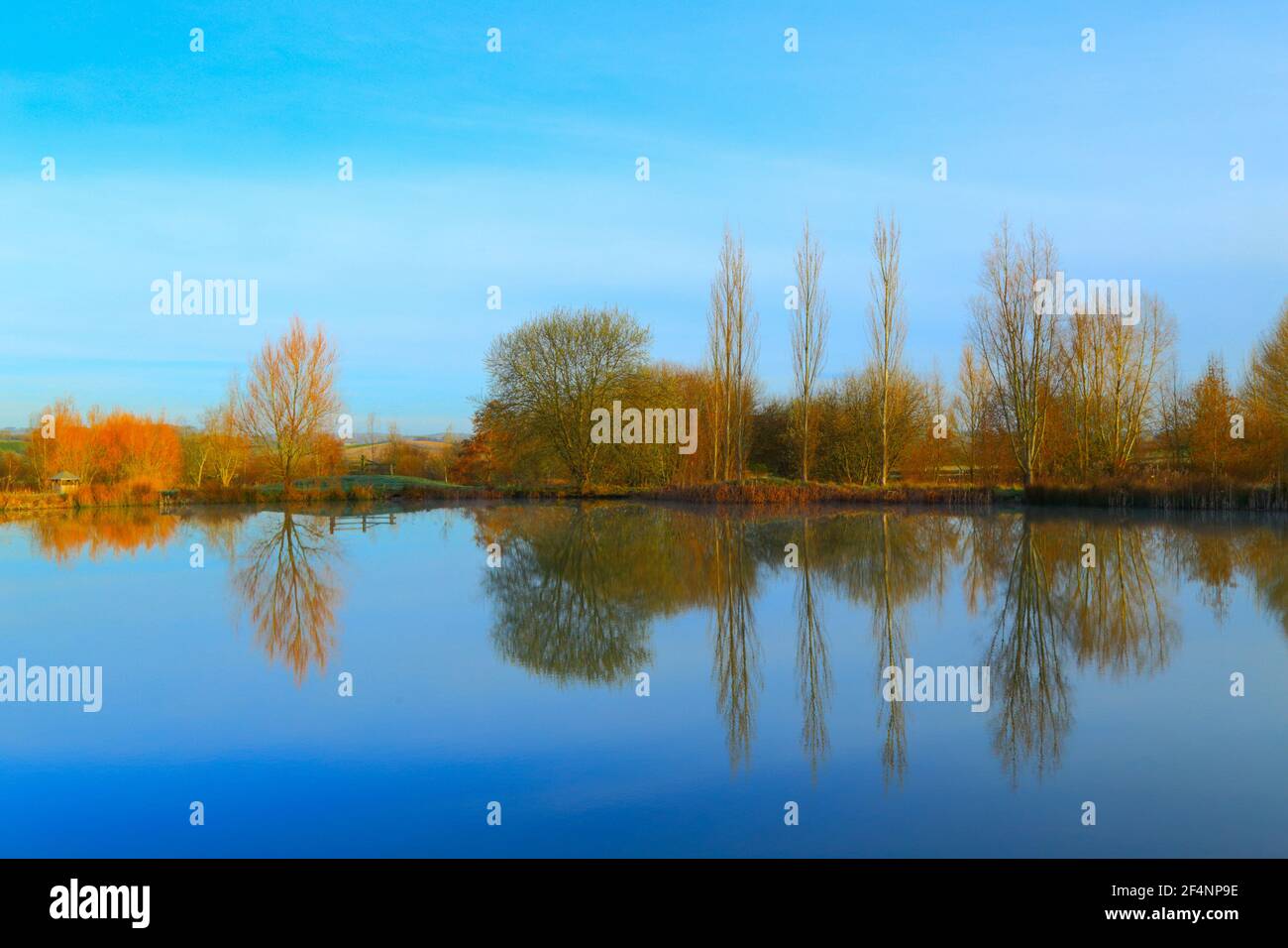 Los árboles se reflejan en el lago de la Reserva Natural de la Granja Bruckland inferior, Devon Foto de stock