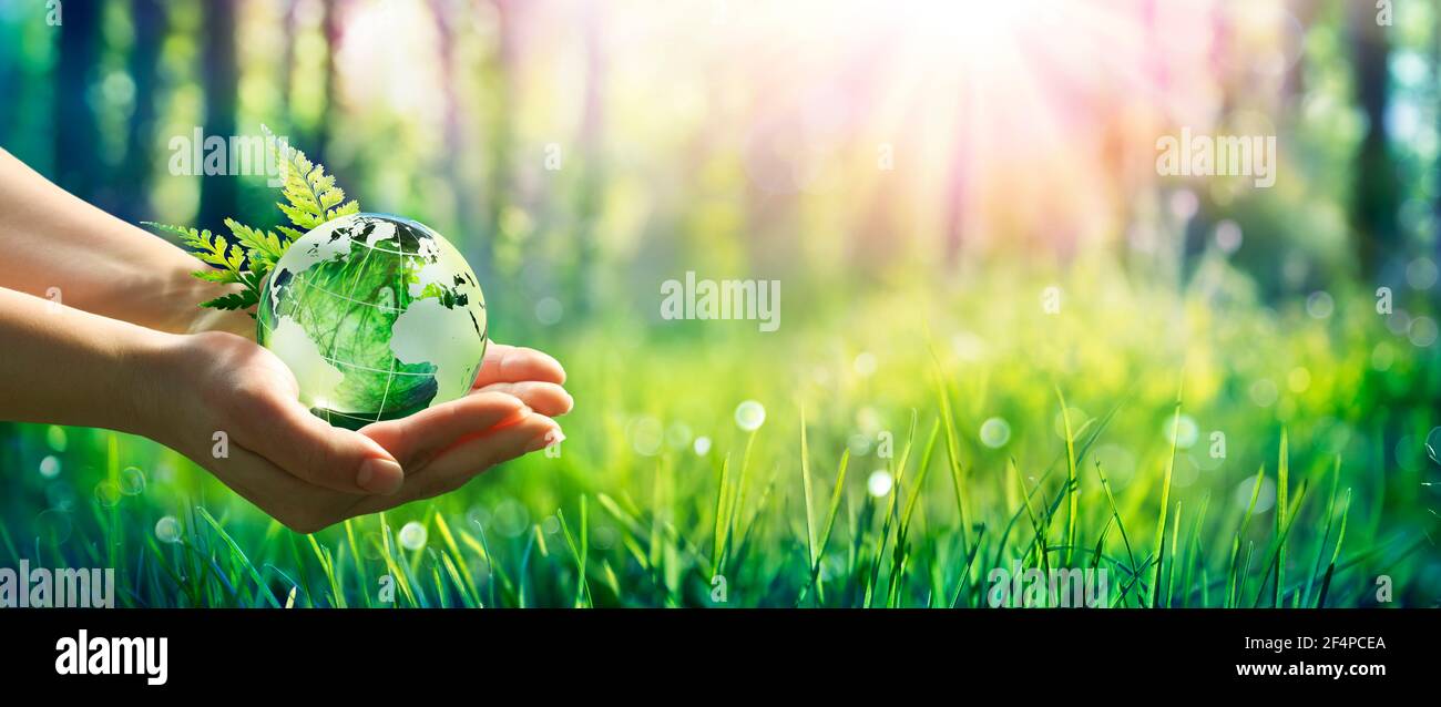 Concepto de Medio Ambiente - Manos que sostienen Globo de vidrio en Green Meadow Con luz solar Foto de stock