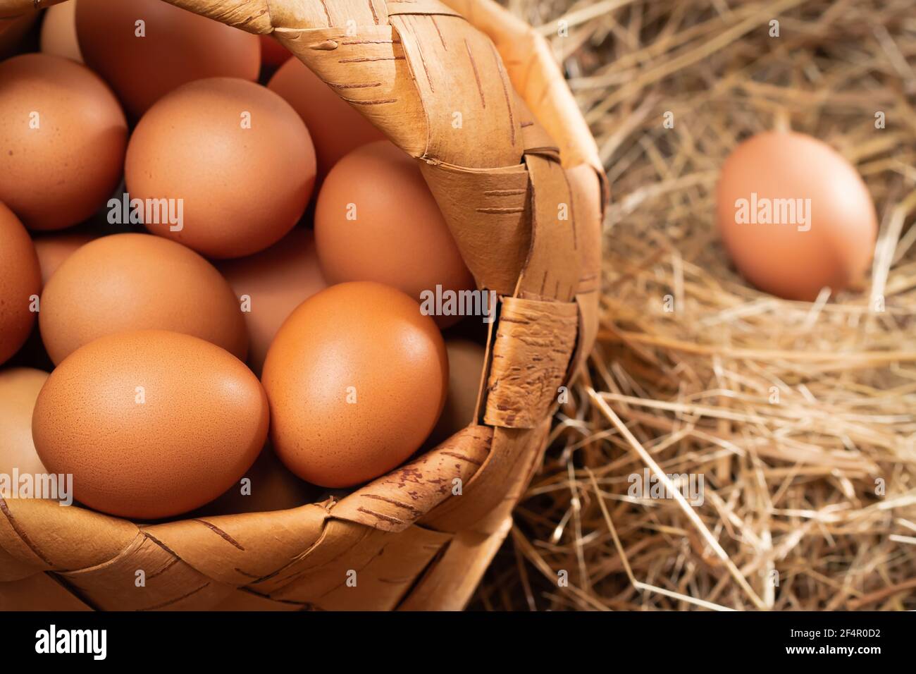 Huevos de pollo marrones frescos en una cesta y en un nido de heno en un granero Foto de stock