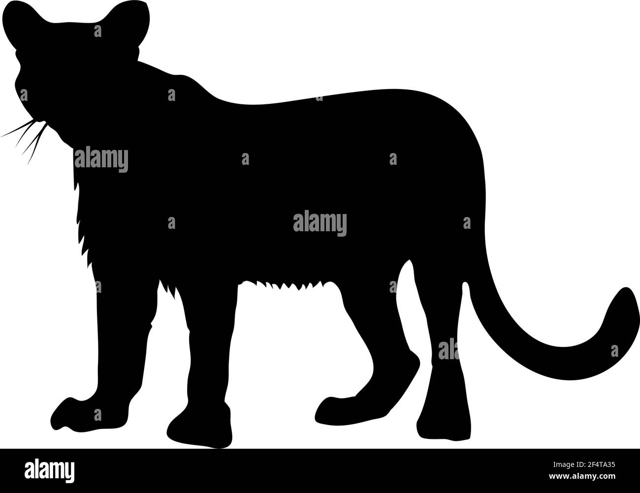 Silueta Líneas suaves y Silueta de Puma de alto detalle. Ilustración vectorial Imagen Vector de stock - Alamy