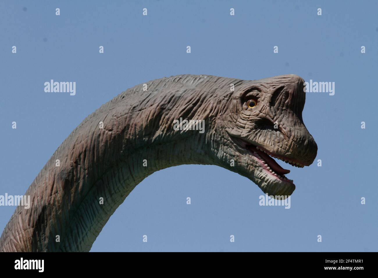 CIUDAD DE MÉXICO, MÉXICO - MARZO 22: Vista general de un dinosaurio durante  la exposición de dinosaurios, presentada por el Alcalde de Iztapalapa en la  Ciudad de México, Clara Brugada en el