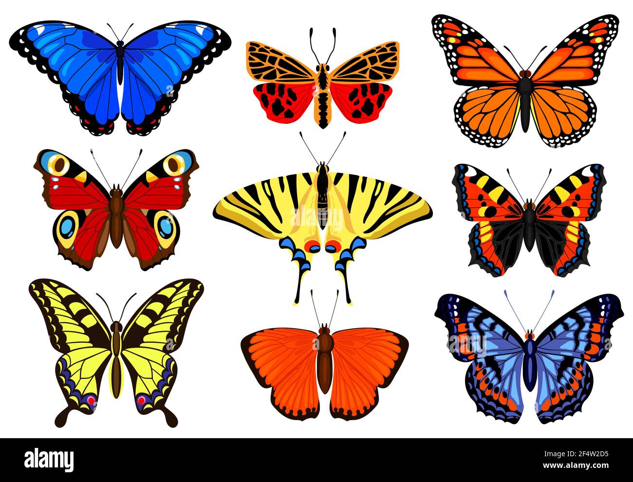 Mariposas de dibujos animados. Insectos voladores de colores, insectos de  mariposa de primavera, jardín de verano mariposas voladoras. Ilustración  vectorial de insectos de mariposa Imagen Vector de stock - Alamy
