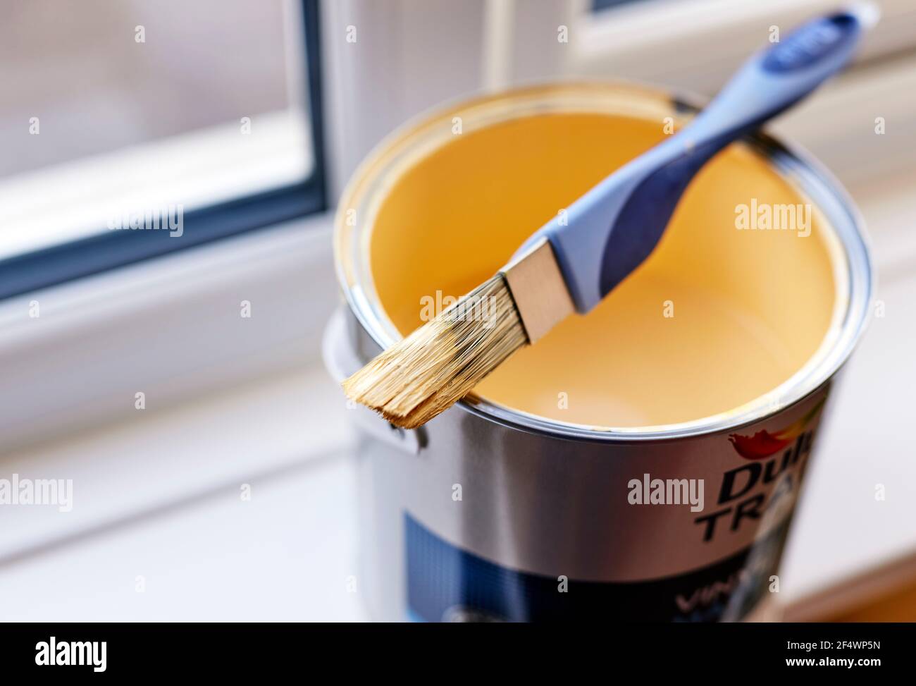 Cepillo de pintura apoyado sobre estaño de pintura abierto Foto de stock