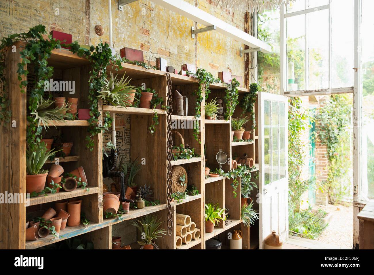 Plantas suculentas y macetas en la tienda de flores Fotografía de stock -  Alamy