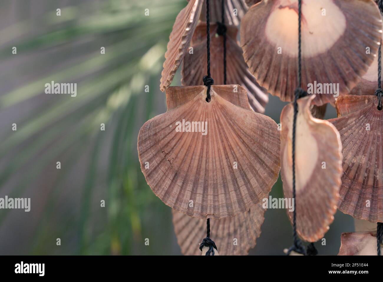 colgantes el jardín de stock - Alamy