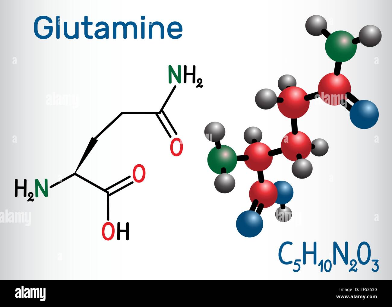 Molécula de aminoácido glutamina (Gln, Q). Fórmula química estructural y modelo  molecular. Ilustración vectorial Imagen Vector de stock - Alamy