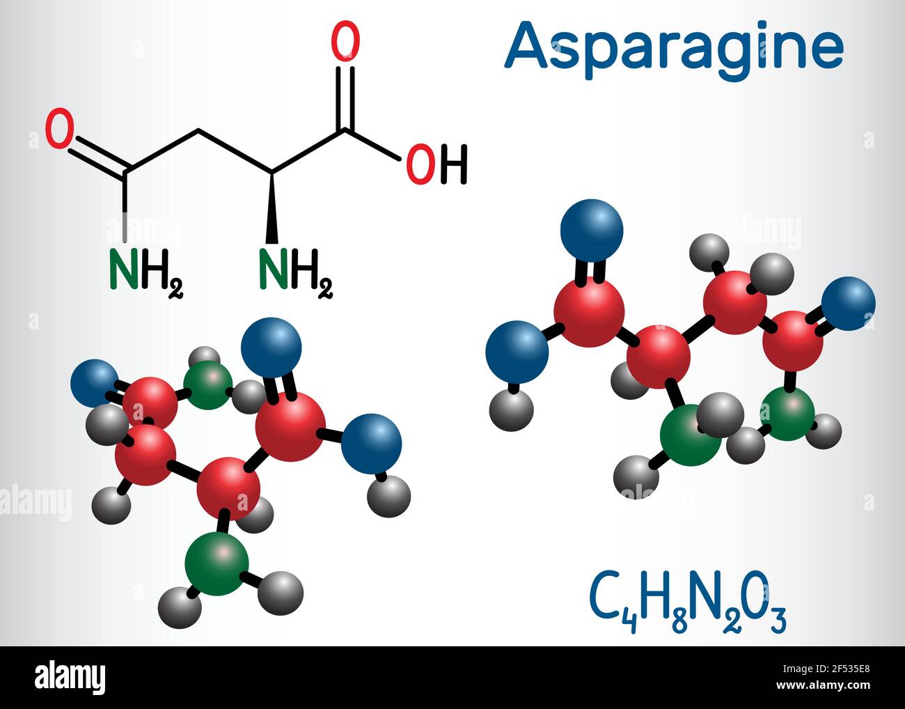 Molécula de aminoácido asparagina (Lasparagina, ASN, N). Se utiliza en la biosíntesis de Molécula de aminoácido asparagina (Lasparagina, ASN, N). Se utiliza en la biosíntesis de
