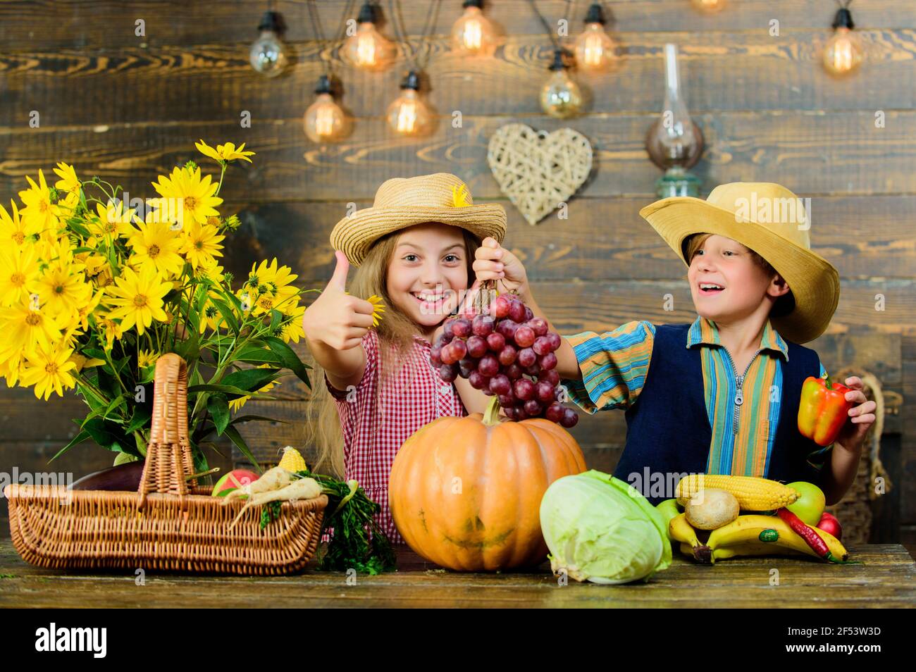 Idea del festival de otoño de la escuela primaria. Festival de la cosecha  de otoño. Los niños juegan a las verduras calabaza. Niños niña niño vestir  vaquero granjero estilo sombrero celebrar Fotografía